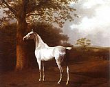 Horse Canvas Paintings - White Horse in Pasture